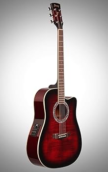Amazon.com: Ibanez PF28ECE PF Acoustic-Electric Guitar